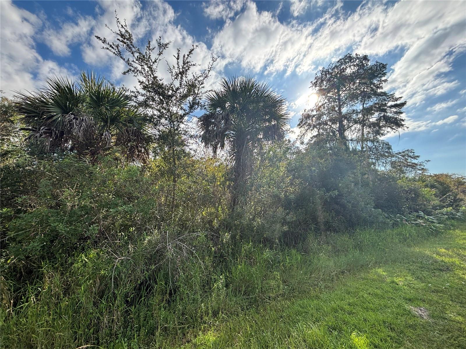 GOLDEN GATE ESTATE UNIT 65 - Land