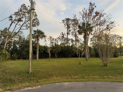 A home in PALM COAST