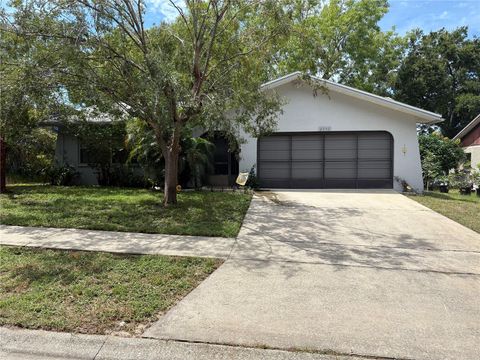 2256 E ORANGEHILL AVENUE PALM HARBOR FL 34683