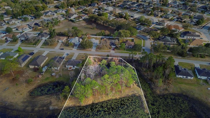 Seller financing available! Exceptional opportunity to build your dream home on this rare waterfront homesite located at 458 Haversham Road in the heart of Deltona. Zoned for residential use and offering approximately 130 x 300 feet of space, this oversized lot presents an incredible chance to create a custom home with beautiful water views overlooking Trout Lake. Tucked away in an established neighborhood, this property offers a unique blend of privacy, natural beauty, and everyday convenience. Imagine designing your future residence to take full advantage of the peaceful lakefront setting, mature trees, and serene surroundings while still being close to everything Central Florida has for you. Whether you are a builder, investor, or future homeowner ready to bring your vision to life, this property offers endless potential and flexibility.

Conveniently located near I-4, this property provides easy access for commuting to both Orlando and Daytona Beach. Nearby shopping and everyday conveniences include Publix, Walmart, Home Depot, Lowe’s, Saxon Plaza, and a variety of retail and dining options just minutes away. Popular nearby restaurants and casual dining spots can be found throughout Deltona and neighboring Orange City, while additional entertainment and attractions are close by including Blue Spring State Park, Green Springs Park, Gemini Springs Park, Lyonia Preserve, and the Central Florida Zoo & Botanical Gardens. Outdoor enthusiasts will appreciate the easy access to parks, walking trails, wildlife, and recreational activities, while Orlando Sanford International Airport is also within convenient reach. Nearby hospitals and medical facilities add even more appeal to this already well-positioned location.

Opportunities like this are not easy to find, especially one with generous dimensions, residential zoning, waterfront frontage on Trout Lake, and seller financing available. Whether your goal is to build now or secure a special piece of land for the future, this is a property worth exploring.
Conveniently located near I-4, this property provides easy access for commuting to both Orlando and Daytona Beach. Nearby shopping and everyday conveniences include Saxon Plaza, Walmart, Home Depot, Publix, and a variety of retail and dining options just minutes away. Popular nearby restaurants include local favorites and casual dining spots along Saxon Boulevard and in surrounding Deltona and Orange City. Outdoor lovers will appreciate being close to Blue Spring State Park, Green Springs Park, Gemini Springs Park, and the Central Florida Zoo & Botanical Gardens, offering plenty of opportunities for kayaking, walking trails, wildlife viewing, and family fun. Additional area attractions, entertainment, and recreation are all within a short drive, while Orlando Sanford International Airport is also conveniently accessible. Nearby medical facilities and hospitals add even more everyday practicality to this excellent location.

Opportunities like this are not easy to find, especially one with waterfront frontage on Trout Lake, generous dimensions, residential zoning, and seller financing available. Whether your goal is to build now or secure a special piece of land for the future, this property is one you will not want to miss.