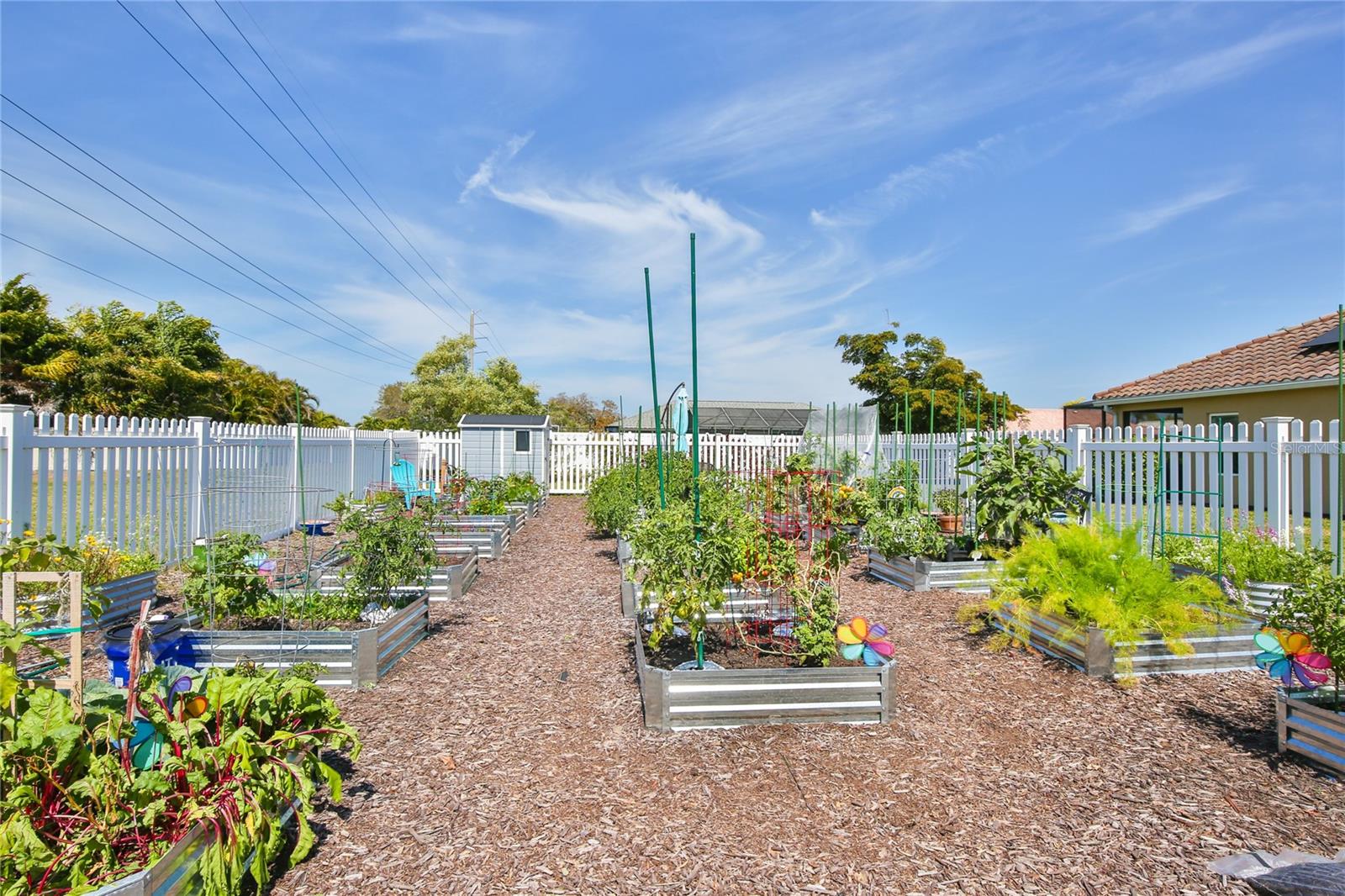 MIRABELLA AT VILLAGE GREEN - Residential