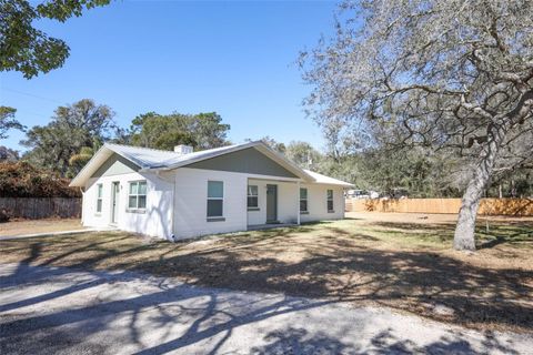 1243 SPRING GARDEN RANCH ROAD DE LEON SPRINGS FL 32130