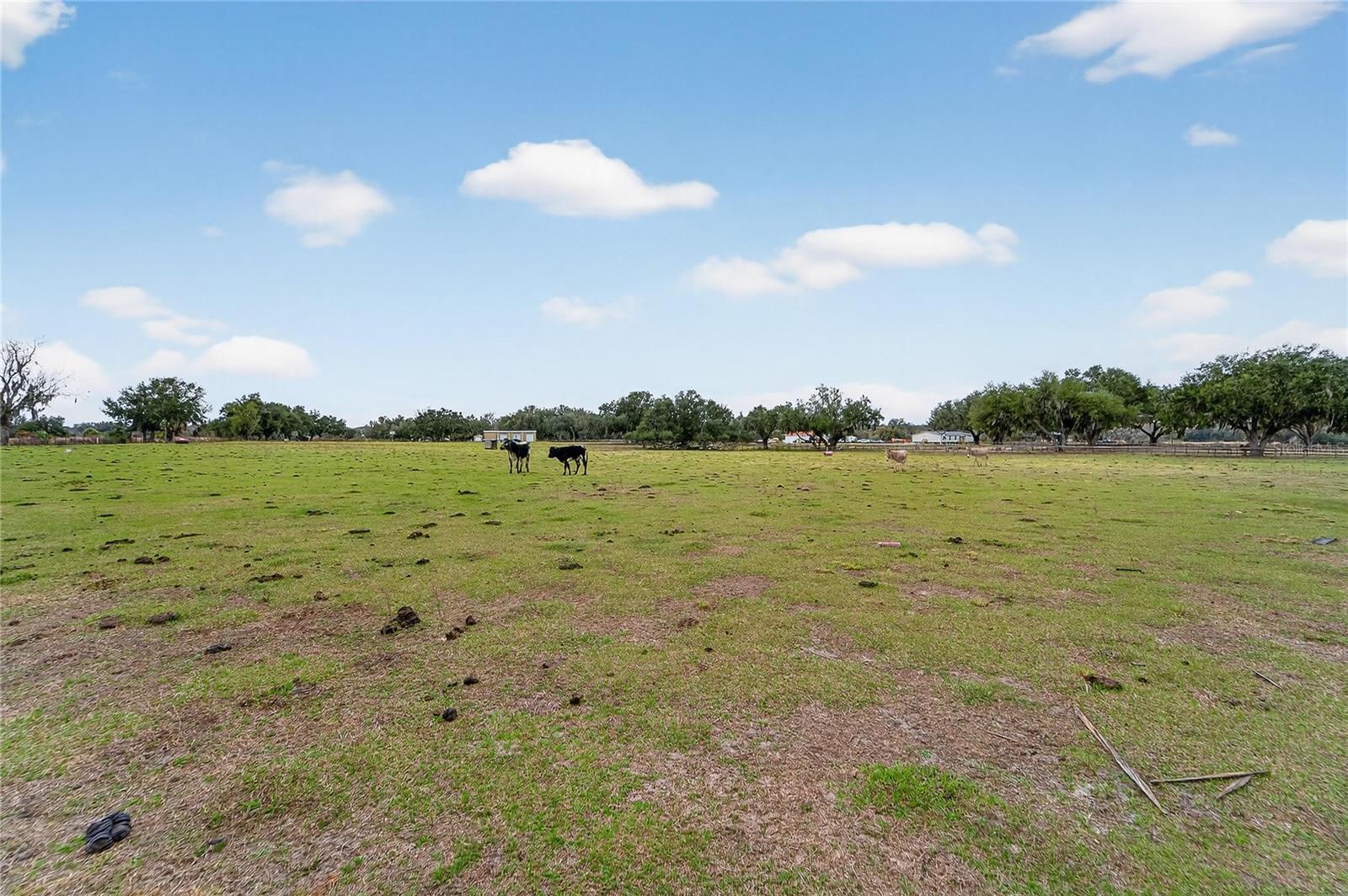 HORSESHOE HILLS ESTATES - Land