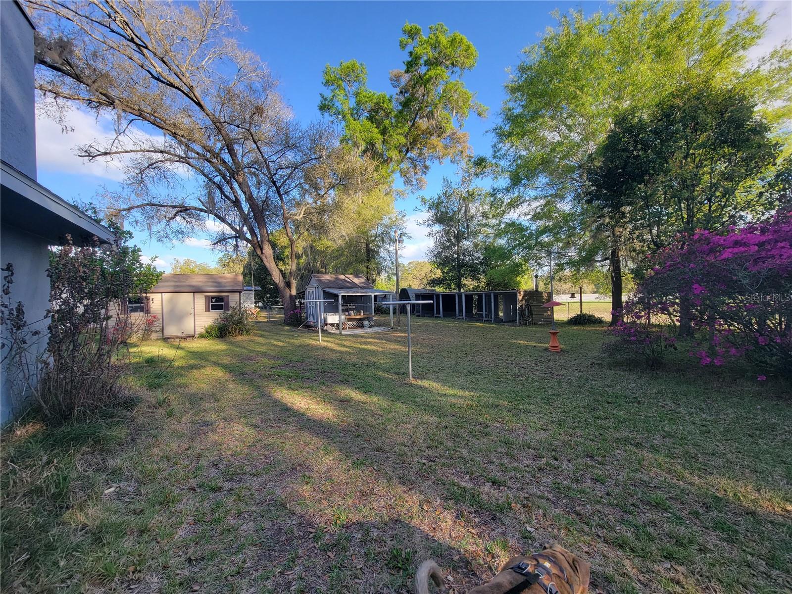 EDWIN M REEVES UNRE - Residential
