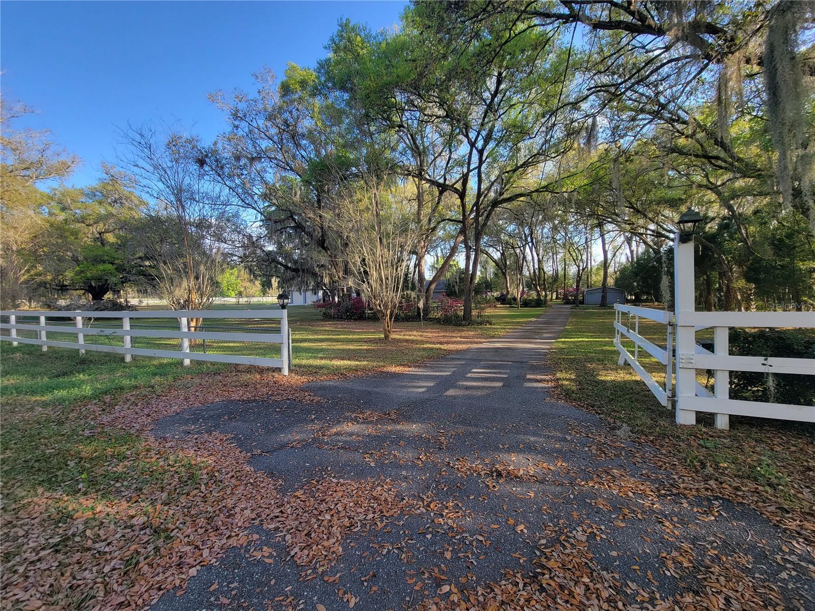 EDWIN M REEVES UNRE - Residential