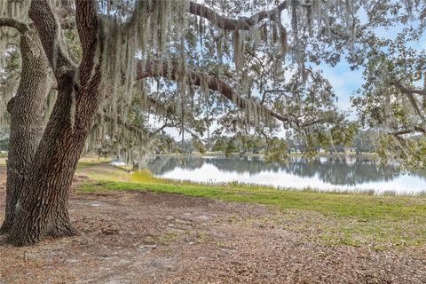 Tiny photo for 6419 Borg Street, Leesburg, FL 34748 (MLS # G5112734)