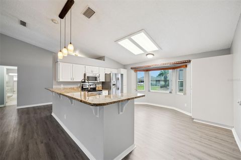 Tiny photo for 6419 Borg Street, Leesburg, FL 34748 (MLS # G5112734)