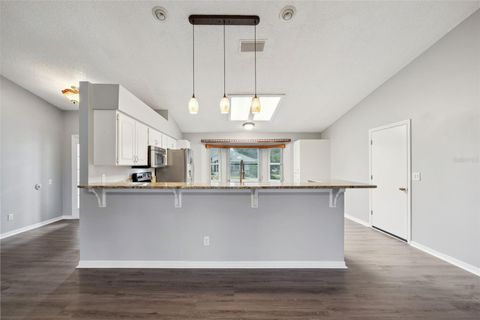 Tiny photo for 6419 Borg Street, Leesburg, FL 34748 (MLS # G5112734)
