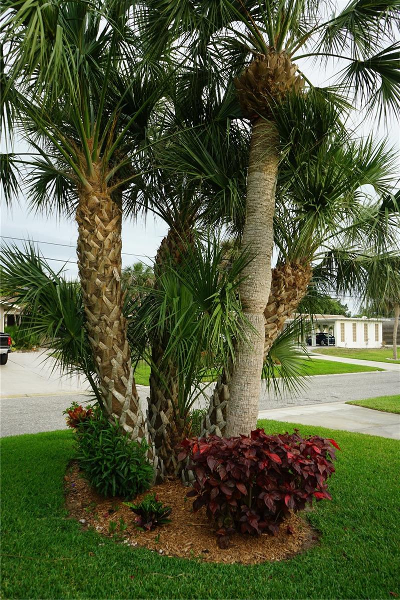 ACREAGE & UNREC - Residential Lease