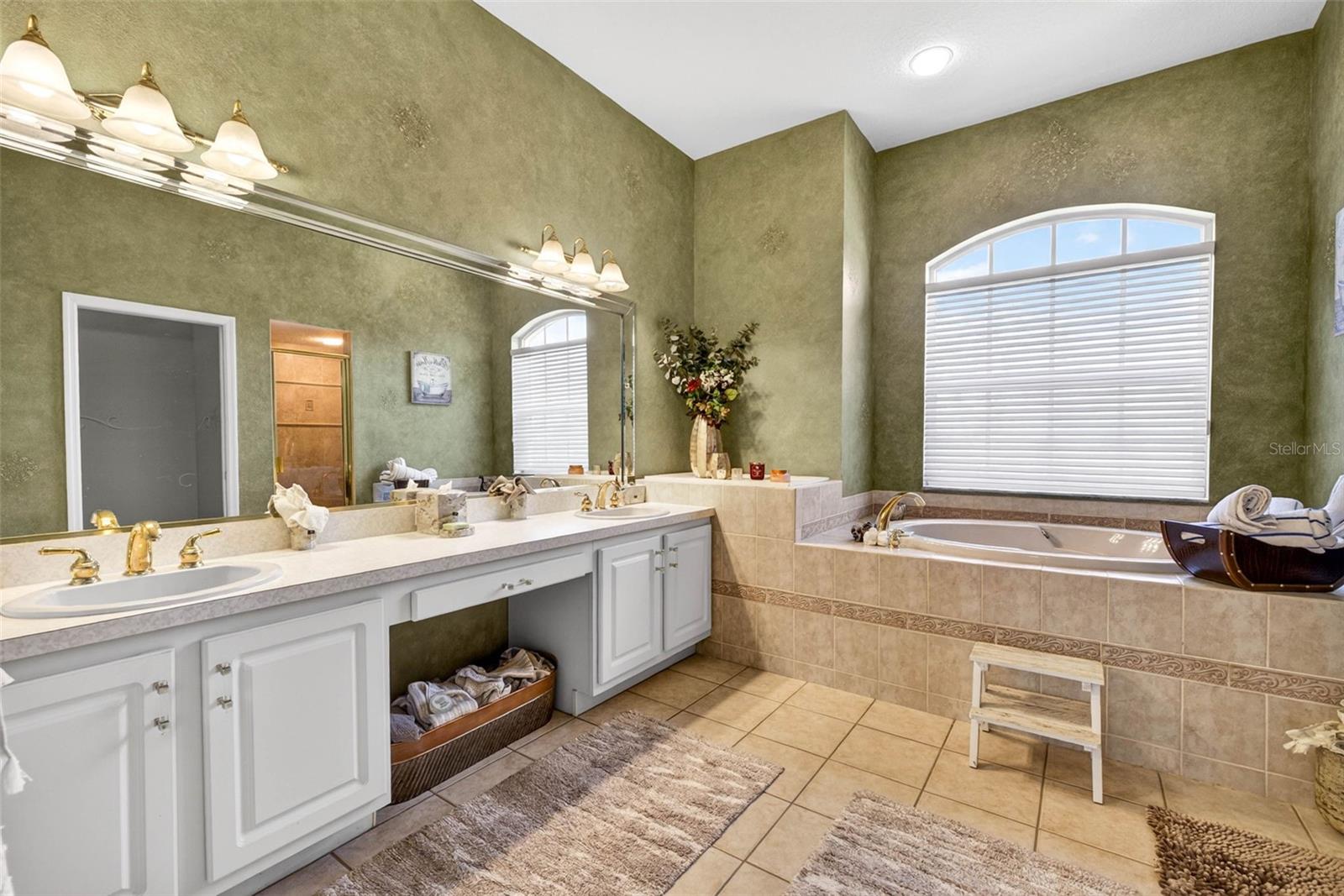 ENCLAVE OF WOODLAND WATERS,THE - Residential