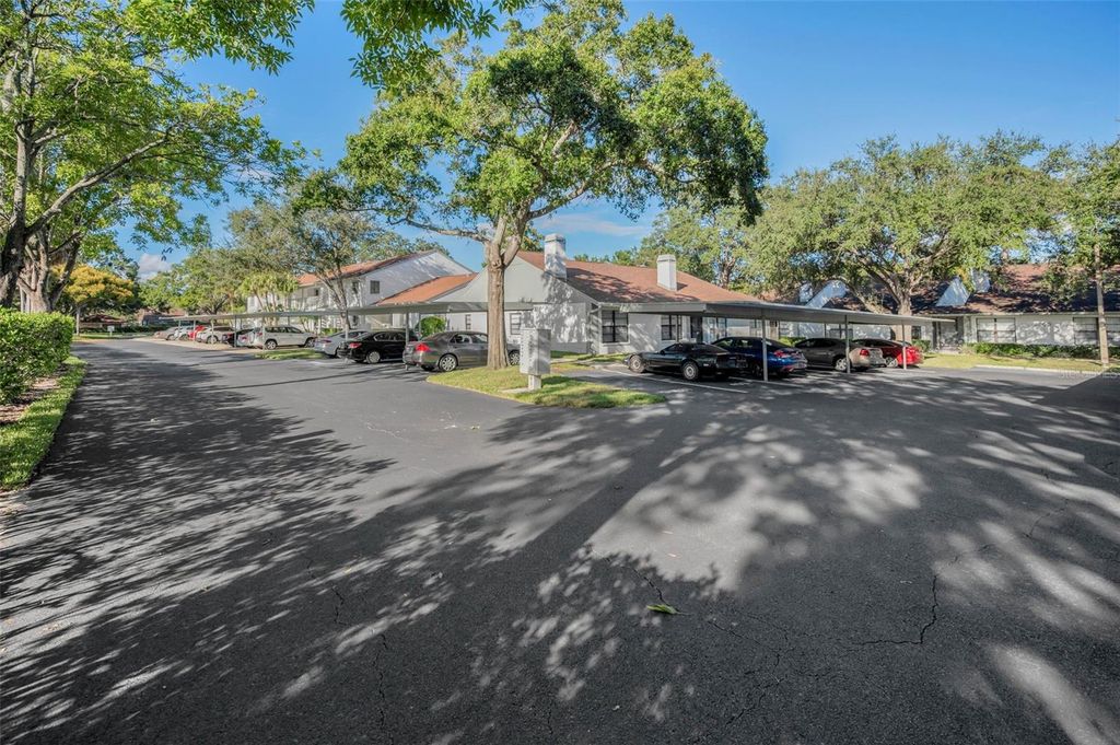 Photo of 3500 Magnolia Ridge Circle #405, Palm Harbor, FL 34684 (MLS # TB8389180)