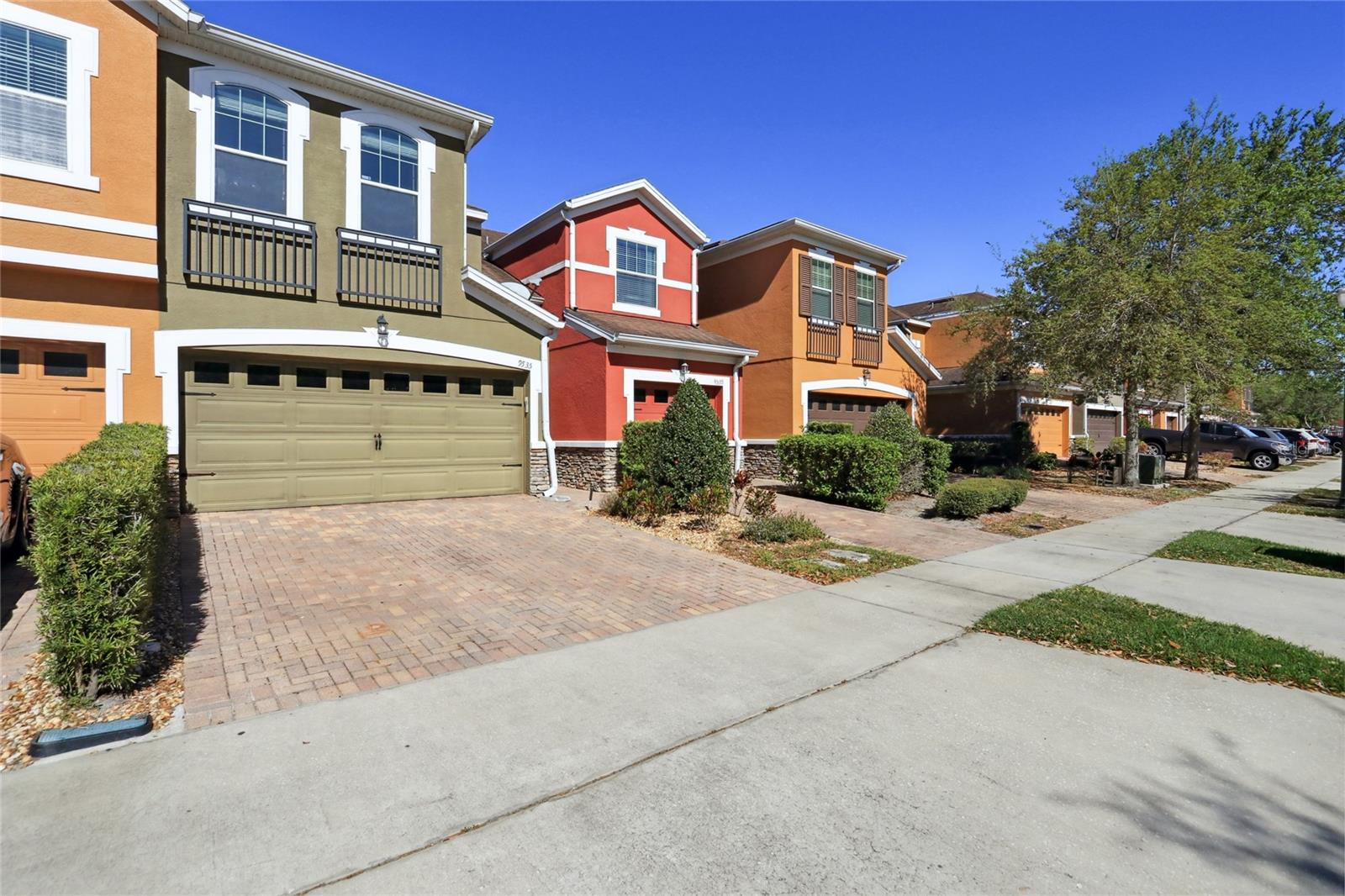 9535 SILVER BUTTONWOOD STREET