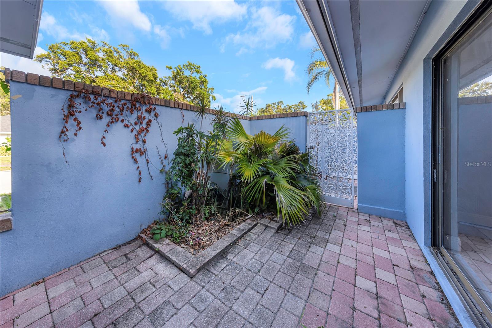 605 CITRUS COURT