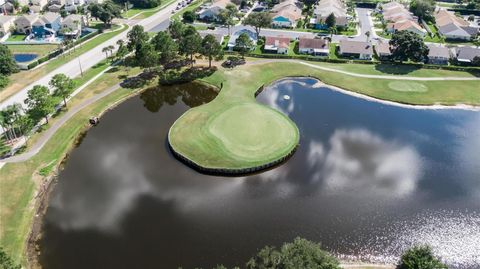 A home in RIVERVIEW