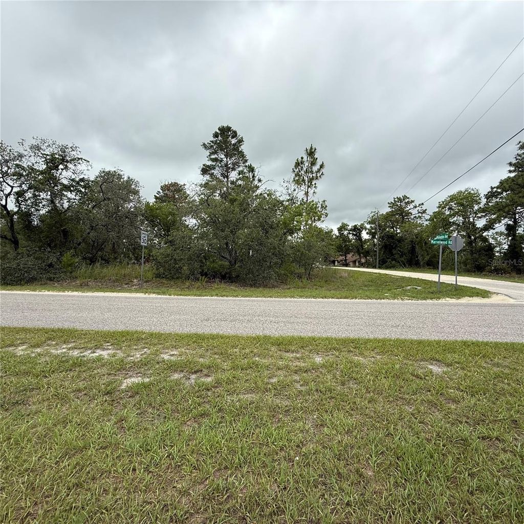Photo of 11205 Mountain Mockingbird Road, Weeki Wachee, FL 34614 (MLS # TB8458188)