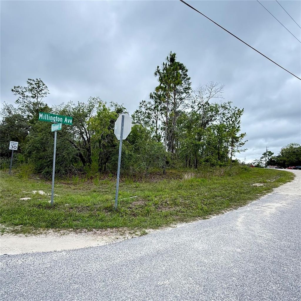 Photo of 11205 Mountain Mockingbird Road, Weeki Wachee, FL 34614 (MLS # TB8458188)