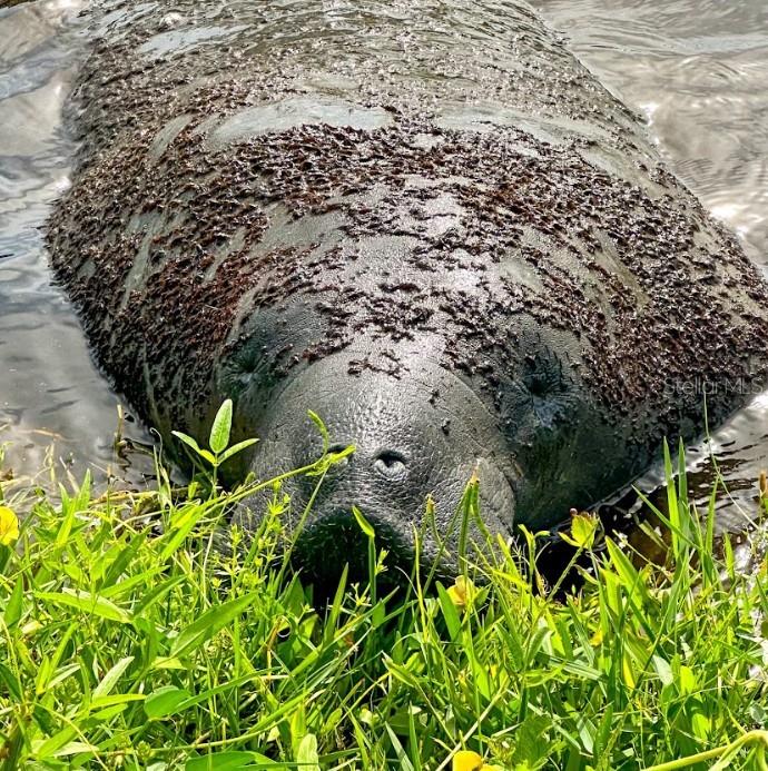 LOVERIDGE HEIGHTS ADD 03 - Residential