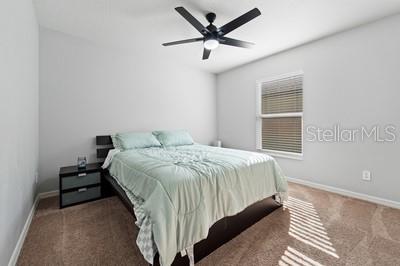 CELEBRATION POINTE - Residential