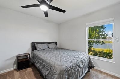 CELEBRATION POINTE - Residential