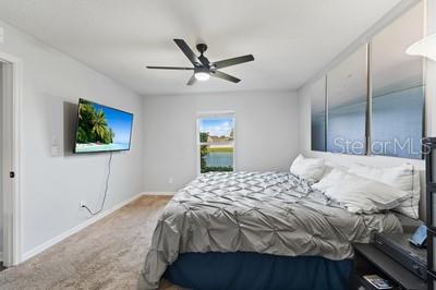 CELEBRATION POINTE - Residential