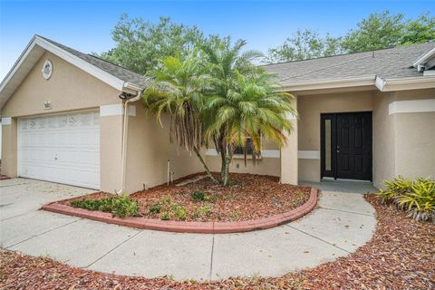 A home in RIVERVIEW