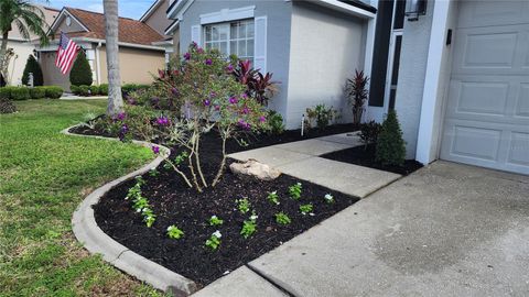 A home in ORLANDO