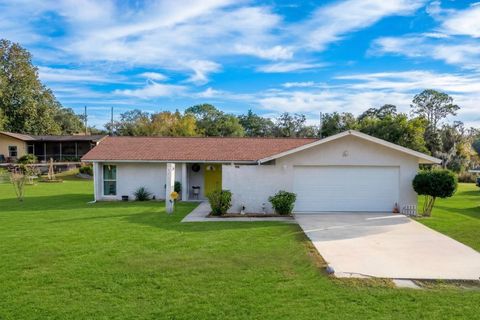 Photo of 2507 Bluegrass Street, Inverness, FL 34453 (MLS # O6363747)