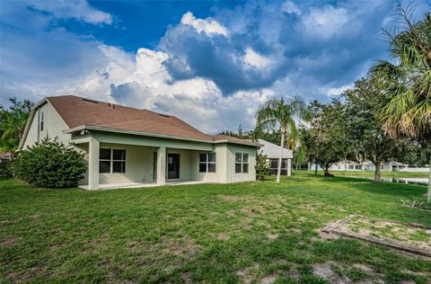 A home in RIVERVIEW