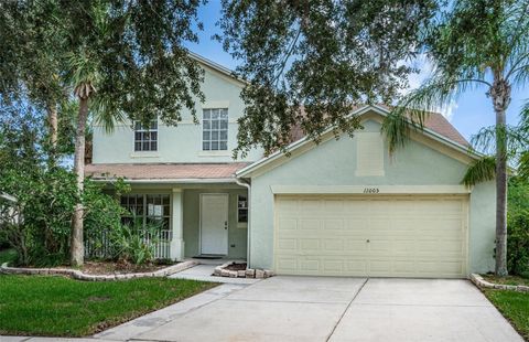 A home in RIVERVIEW