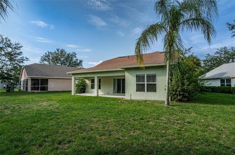 A home in RIVERVIEW