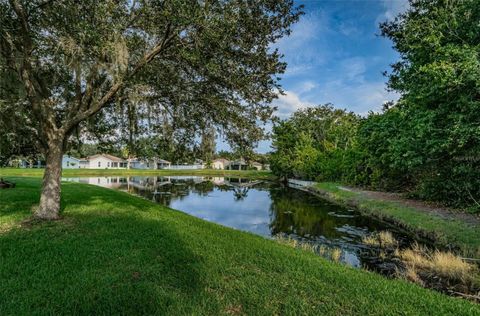 A home in RIVERVIEW