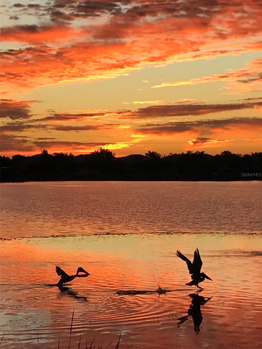 1151 RIVERSCAPE STREET 1151