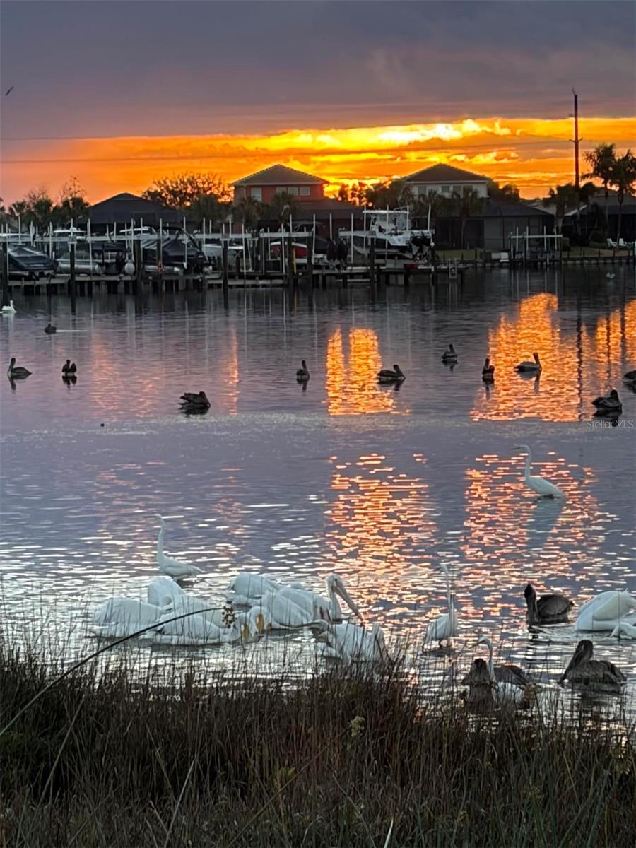 TIDEWATER PRESERVE THE LAGOON - Residential