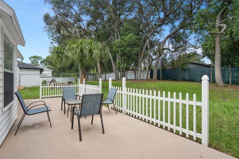 A home in DELTONA