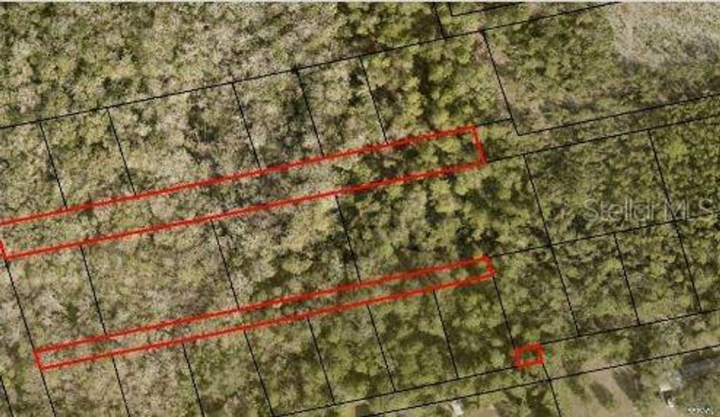 Photo of 2313 Us Highway 1, Mims, FL 32754 (MLS # O6239773)