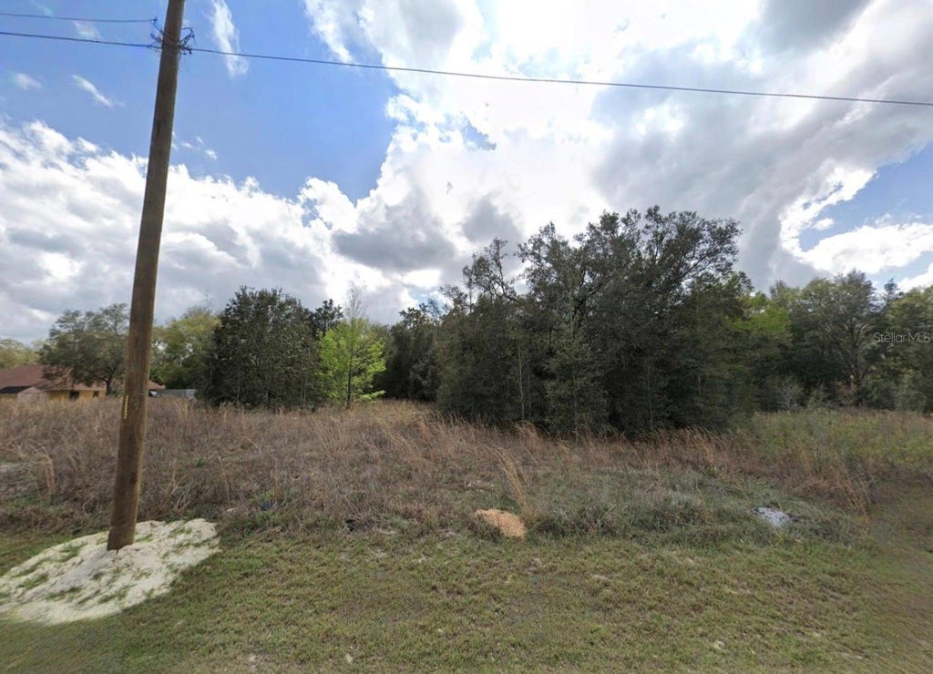 Photo of Unassigned SW 109th Pl, Dunnellon, FL 34432 (MLS # TB8543873)
