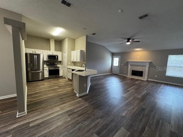 8520 STAR LEAF COURT