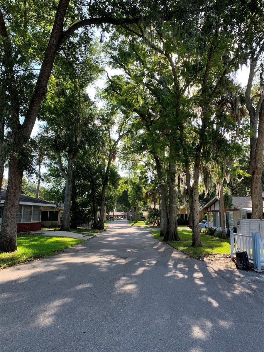 Country Club Chalets - Residential