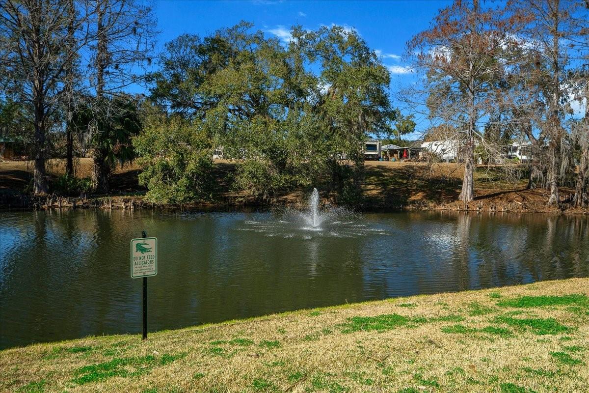 TOWN PARK AT THE WILDERNESS RV PARK ESTATES - Land