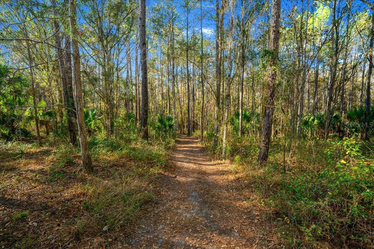 TOWN PARK AT THE WILDERNESS RV PARK ESTATES - Land