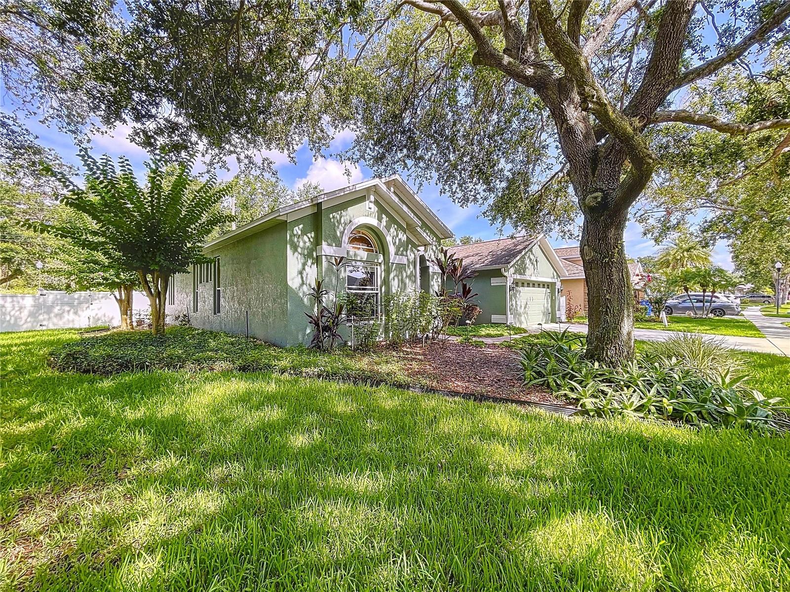 3216 HURLEY GROVE WAY