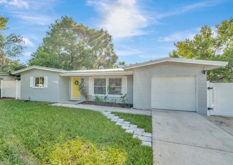 10617 N 27TH STREET TAMPA FL 33612