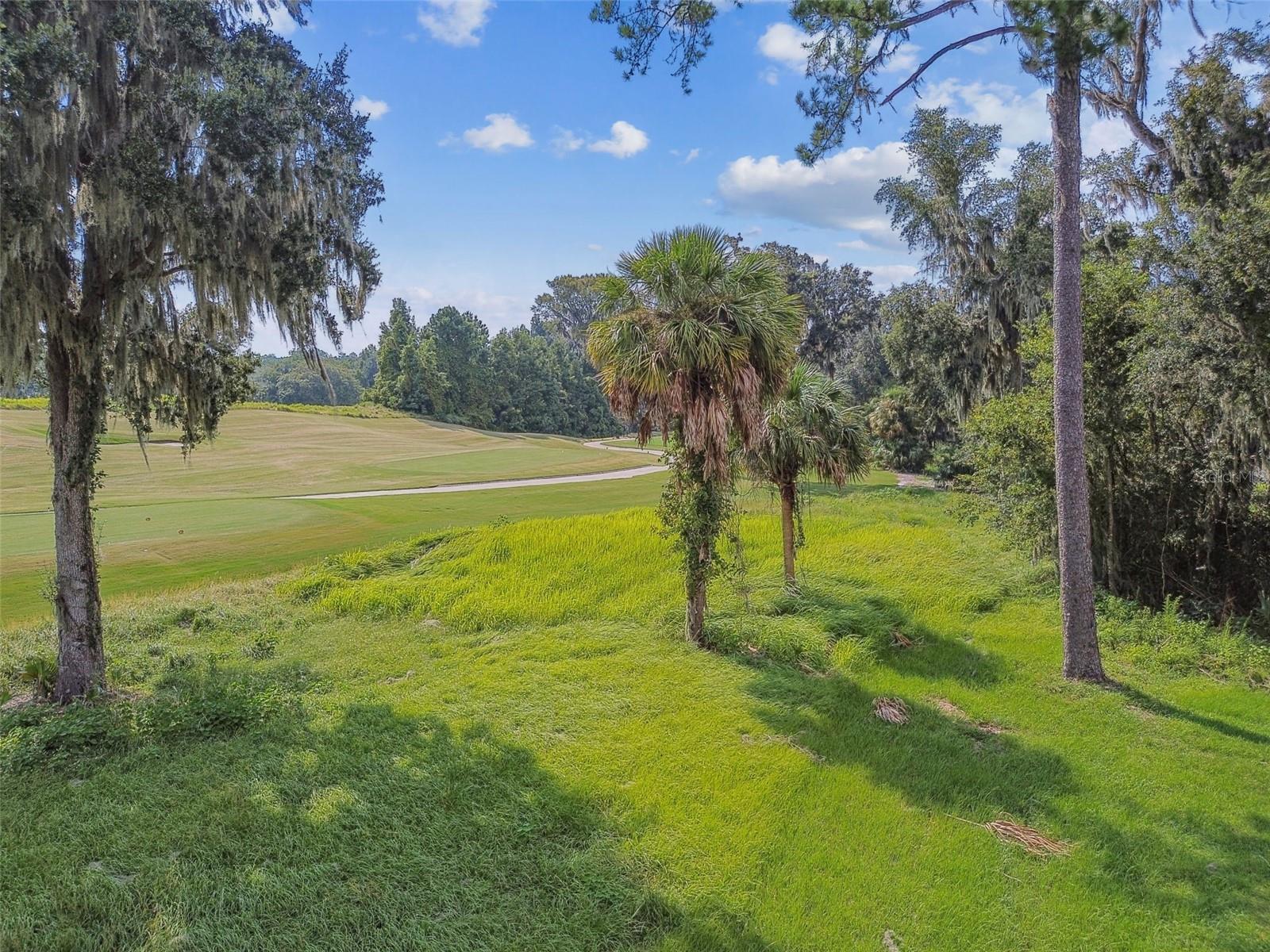 SOUTHERN HILLS PLANTATION PH 3 - Residential