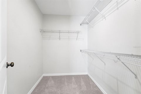 Tiny photo for 3800 Fescue Street, Clermont, FL 34714 (MLS # O6411205)
