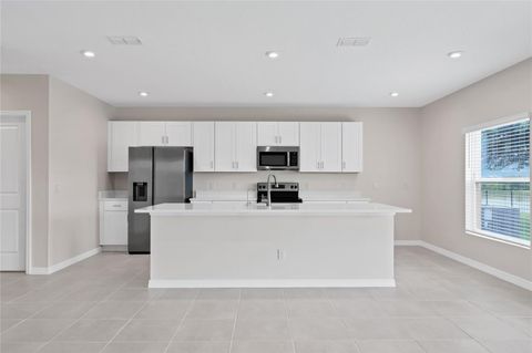 Tiny photo for 3800 Fescue Street, Clermont, FL 34714 (MLS # O6411205)