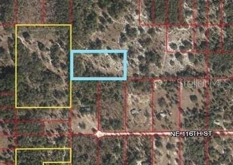 Tiny photo for SW Archer, Archer, FL 32618 (MLS # V4925573)