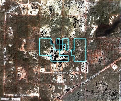 Tiny photo for SW Archer, Archer, FL 32618 (MLS # V4925573)