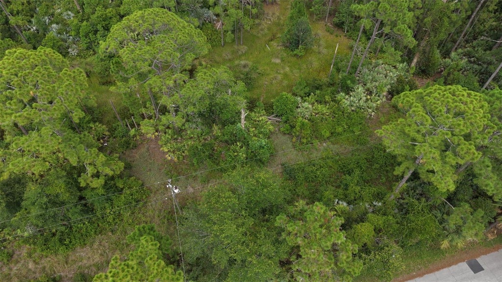 Photo of 1715 Tatum Boulevard, New Smyrna Beach, FL 32168 (MLS # V4950368)