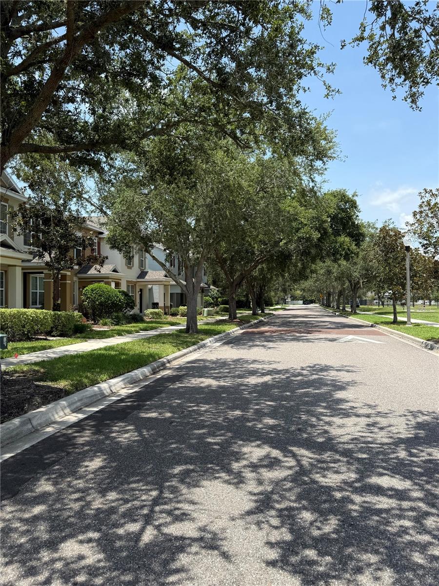 WICKHAM PARK - Residential