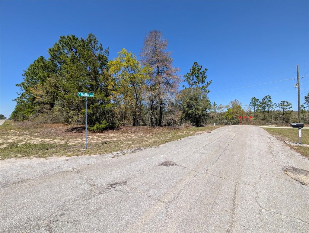 Photo of 3099 W Wilhelm Street, Citrus Springs, FL 34433 (MLS # W7884231)